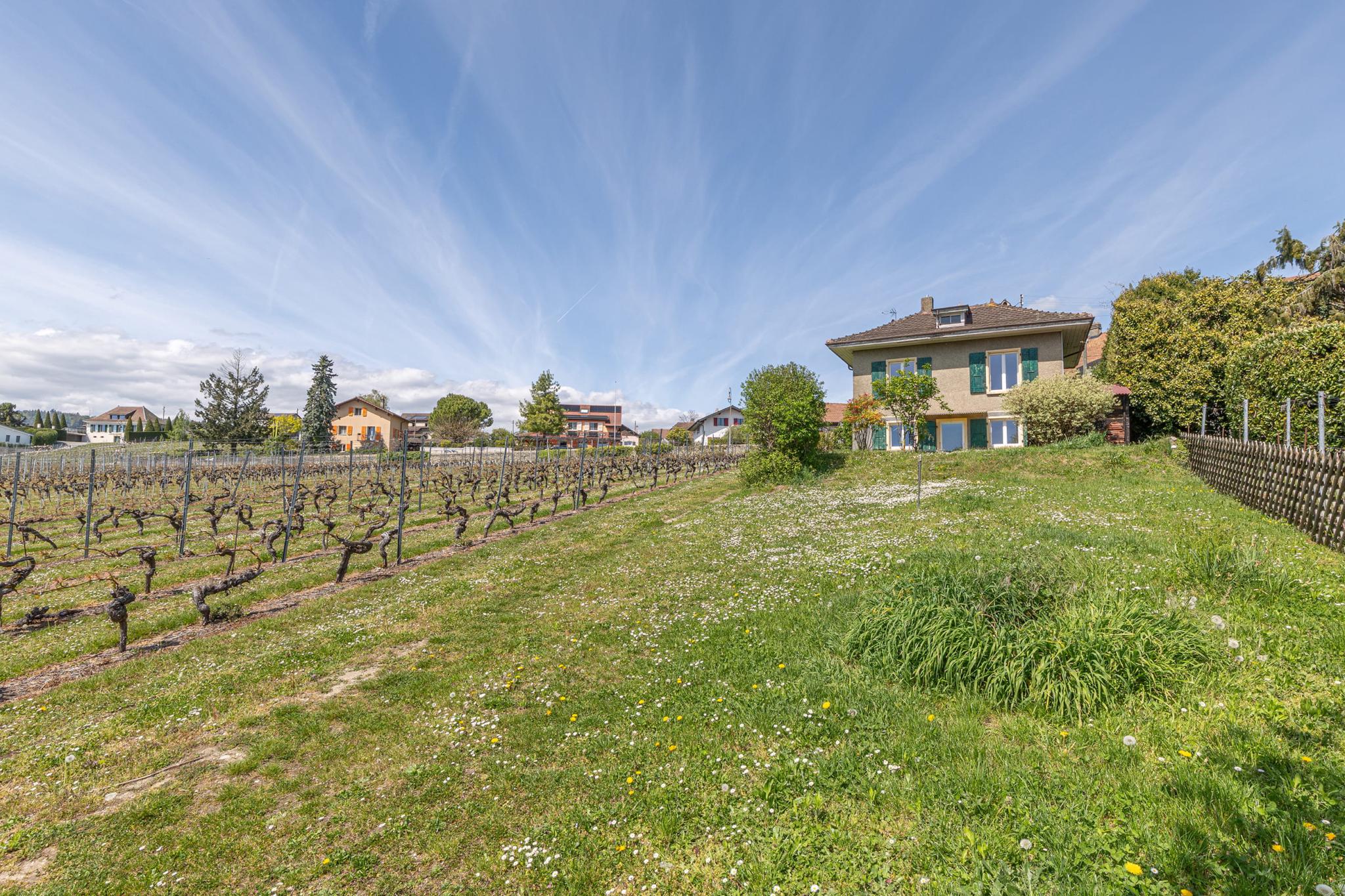 Maison avec charme dans les vignes