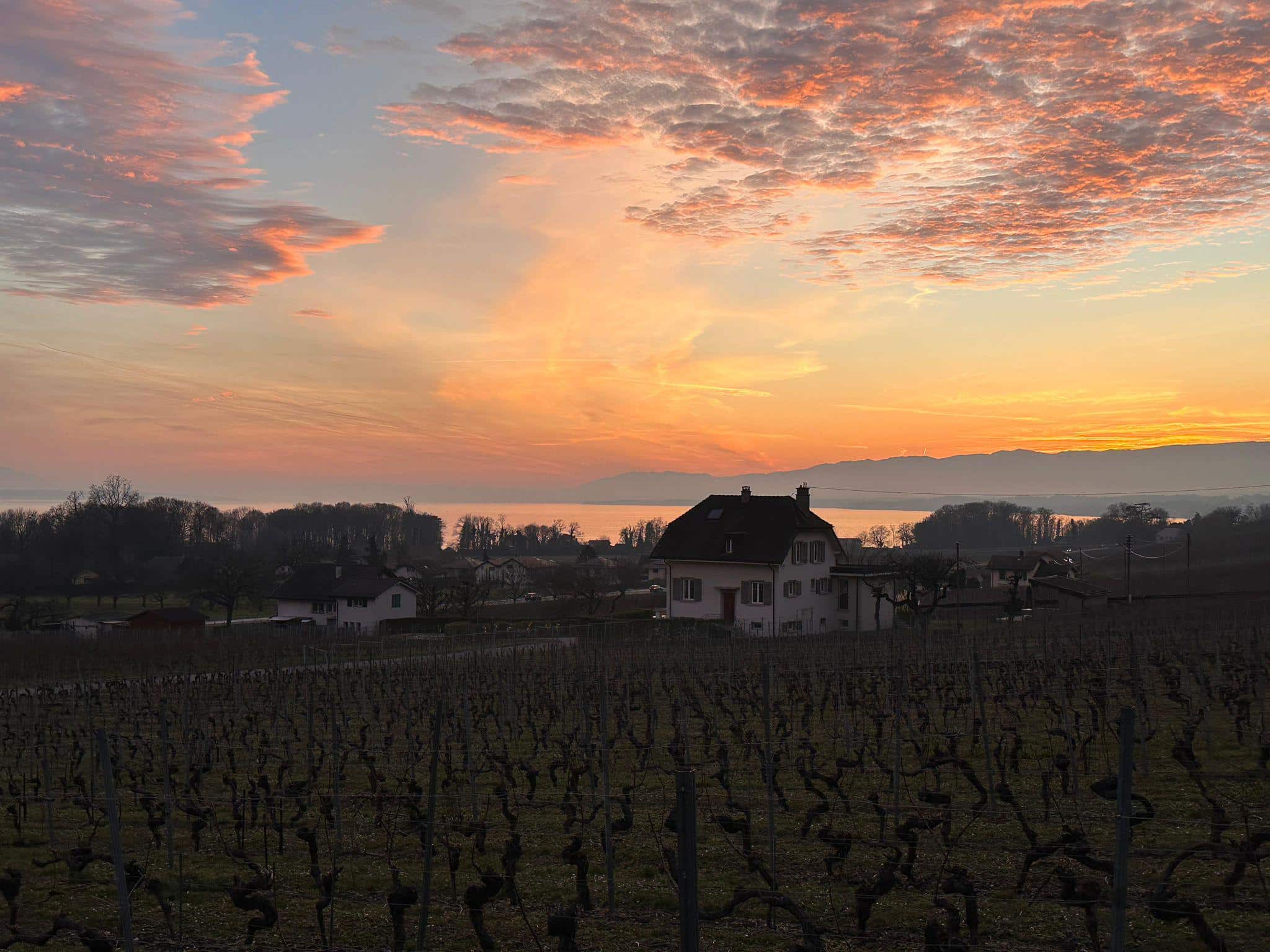 Maison avec charme dans les vignes
